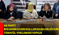 AK Parti Bolvadin Kadın Kolları Başkanlığı için temayül yoklaması yapıldı