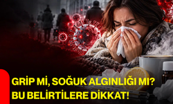 Grip mi, soğuk algınlığı mı? Bu belirtilere dikkat!