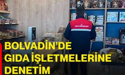 Bolvadin’de gıda işletmelerine denetim