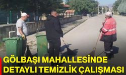 Gölbaşı Mahallesinde detaylı temizlik çalışması