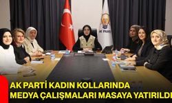 AK Parti Kadın Kollarında medya çalışmaları masaya yatırıldı