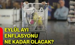 Eylül ayı enflasyonu ne kadar olacak?