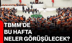 TBMM’de bu hafta neler görüşülecek?