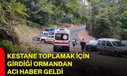 Kestane toplamak için girdiği ormandan acı haber geldi