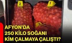 Afyon’da 250 kilo soğanı kim çalmaya çalıştı?