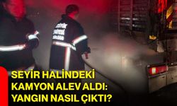 Seyir halindeki kamyon alev aldı: Yangın nasıl çıktı?