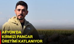 Afyon’da kırmızı pancar üretimi katlanıyor