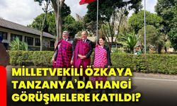 Milletvekili Özkaya, Tanzanya’da hangi görüşmelere katıldı?