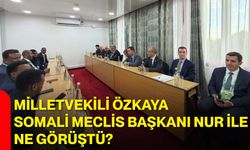 Milletvekili Özkaya, Somali Meclis Başkanı Nur ile ne görüştü?