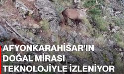 Afyonkarahisar’ın doğal mirası teknolojiyle izleniyor
