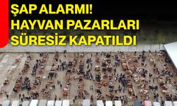 Şap alarmı! Hayvan pazarları süresiz kapatıldı