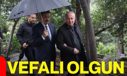 Vefalı Olgun