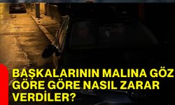 Başkalarının malına göz göre göre nasıl zarar verdiler?