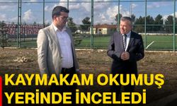 Kaymakam Okumuş yerinde inceledi