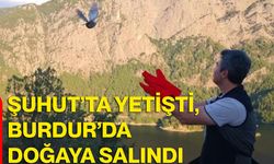 Şuhut’ta yetişti, Burdur’da doğaya salındı