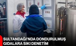 Sultandağı’nda dondurulmuş gıdalara sıkı denetim