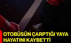 Otobüsün çarptığı yaya hayatını kaybetti