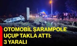 Otomobil şarampole uçup takla attı: 3 yaralı