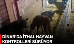 Dinar’da ithal hayvan kontrolleri sürüyor