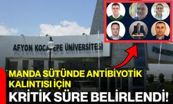 Manda sütünde antibiyotik kalıntısı için kritik süre belirlendi!