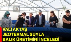 Vali Aktaş, jeotermal suyla balık üretimini inceledi