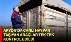 Afyon’da canlı hayvan taşıyan araçlar tek tek kontrol edildi