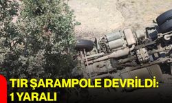 Tır şarampole devrildi: 1 yaralı