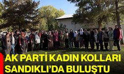 AK Parti Kadın Kolları Sandıklı’da buluştu