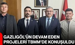 Gazlıgöl’ün devam eden projeleri TBMM’de konuşuldu