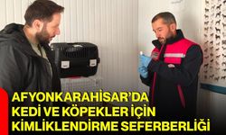 Afyonkarahisar’da kedi ve köpekler için kimliklendirme seferberliği