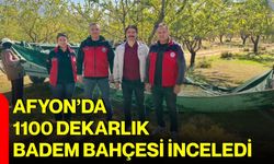 Afyon’da 1100 dekarlık badem bahçesi inceledi