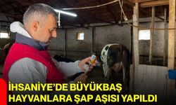 İhsaniye’de büyükbaş hayvanlara şap aşısı yapıldı