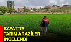 Bayat’ta tarım arazileri incelendi