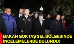 Bakan Göktaş sel bölgesinde incelemelerde bulundu!