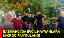 Başmakçı’da evcil hayvanlara mikroçip uygulandı