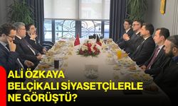 Ali Özkaya Belçikalı siyasetçilerle ne görüştü?
