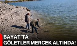 Bayat’ta göletler mercek altında!