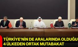 Türkiye’nin de aralarında olduğu 4 ülkeden ortak mutabakat