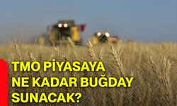 TMO piyasaya ne kadar buğday sunacak?