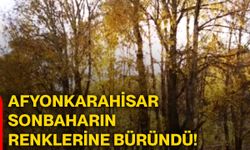 Afyonkarahisar sonbaharın renklerine büründü!