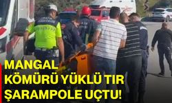 Mangal kömürü yüklü tır şarampole uçtu!
