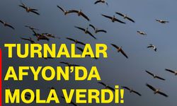 Turnalar Afyon’da mola verdi!