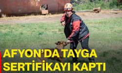 Afyon’da Tayga sertifikayı kaptı