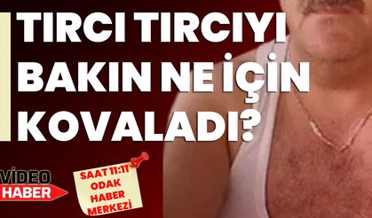 Atatürk'e saygısızlık: Tırcı tırcıyı bakın ne için kovaladı?