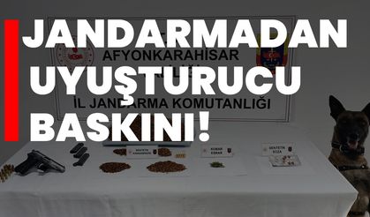 Jandarmadan uyuşturucu baskını!