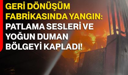 Geri Dönüşüm Fabrikasında Yangın: Patlama Sesleri Ve Yoğun Duman Bölgeyi Kapladı