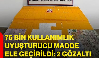 75 Bin Kullanımlık Uyuşturucu Madde Ele Geçirildi: 2 Gözaltı