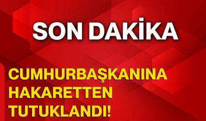 Cumhurbaşkanına Hakaretten Tutuklandı