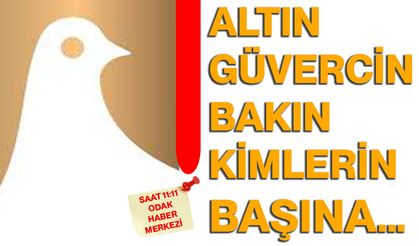 Altın güvercin bakın kimlerin başına…