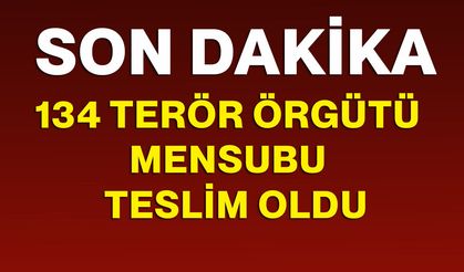 134 Terör Örgütü Mensubu İkna Yoluyla Teslim Oldu